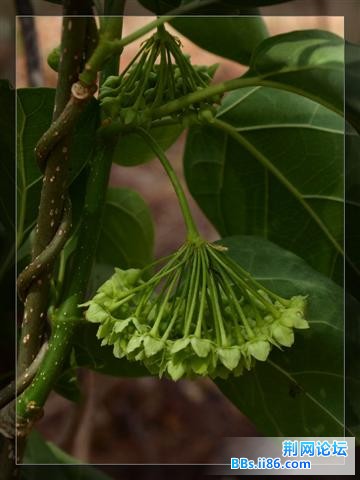 20090519_6eb7811b3de34921b6acqtA0opugt0IP.jpg