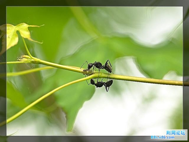 20090518_f5cbe6df41bb31f03bf3NLELsXhGVAq8.jpg