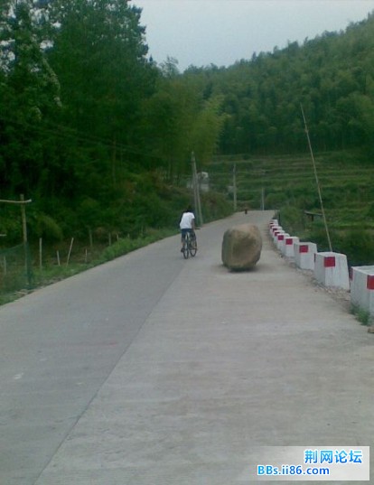 20090522261.jpg