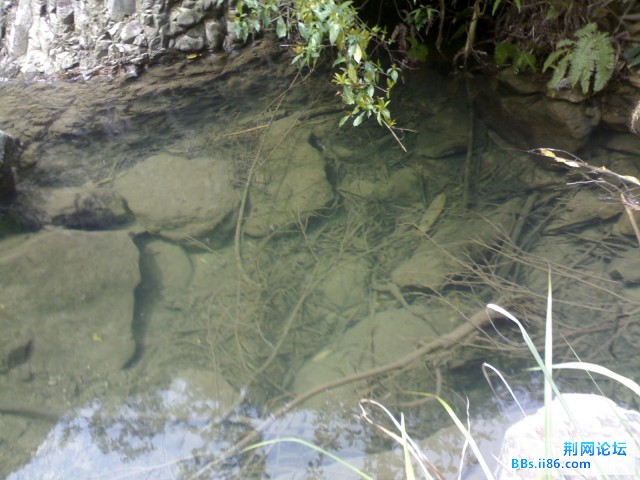 20090527309.jpg