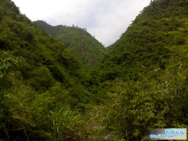 20090527310.jpg