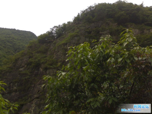 20090527321.jpg