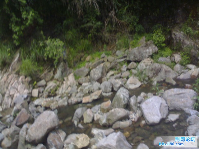 20090527315.jpg
