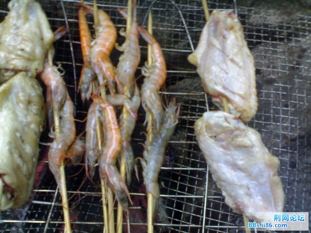 虾翅传说~.jpg