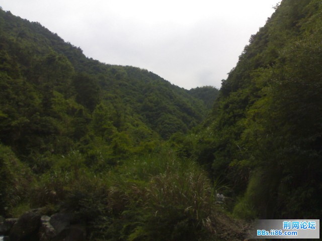 20090527305.jpg