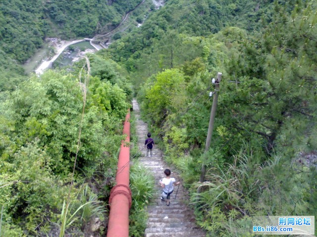 居高临下的云梯.jpg