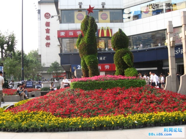 照片 192.jpg
