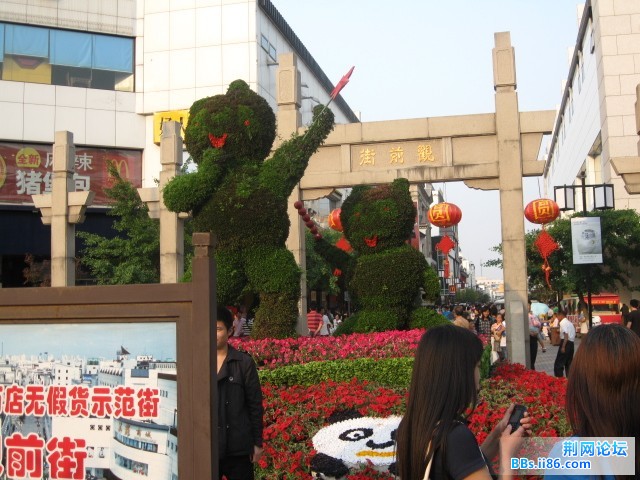 照片 193.jpg
