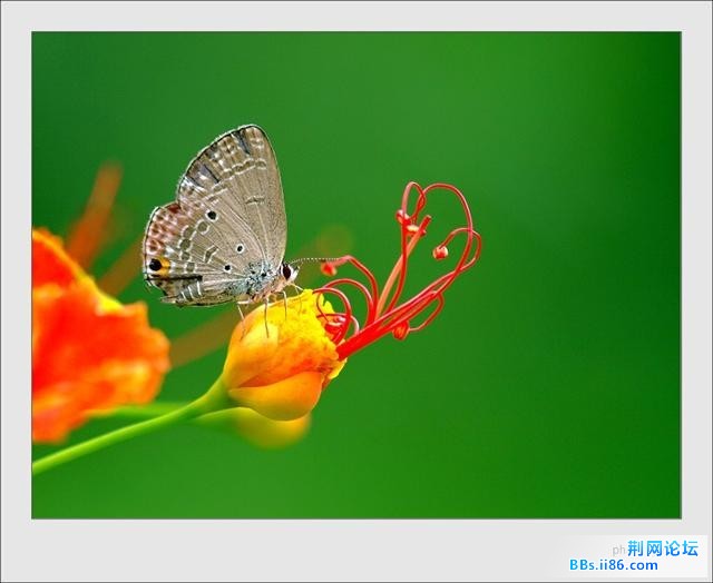 20090603_f0705f9e371076085e58HXtZ8Bkzpehx.jpg