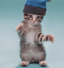 132S3163K.gif
