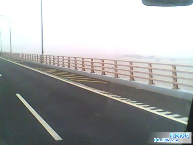 IMG0552A.jpg