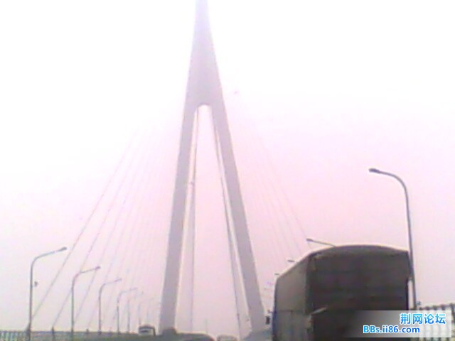 IMG0558A.jpg