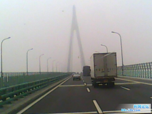 IMG0557A.jpg