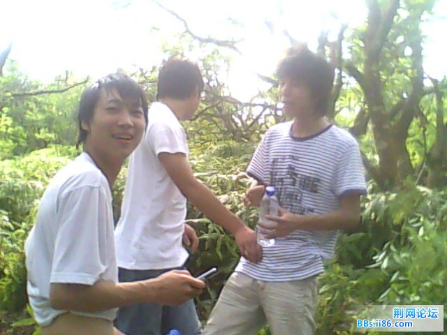 IMG0543A.jpg