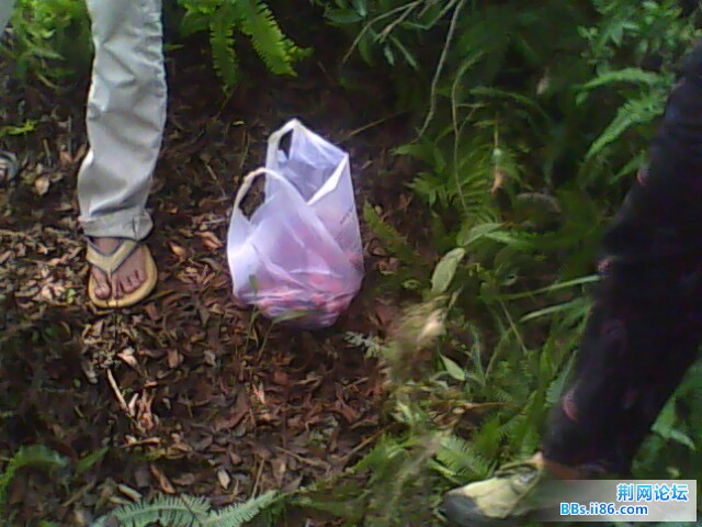 IMG0544A.jpg