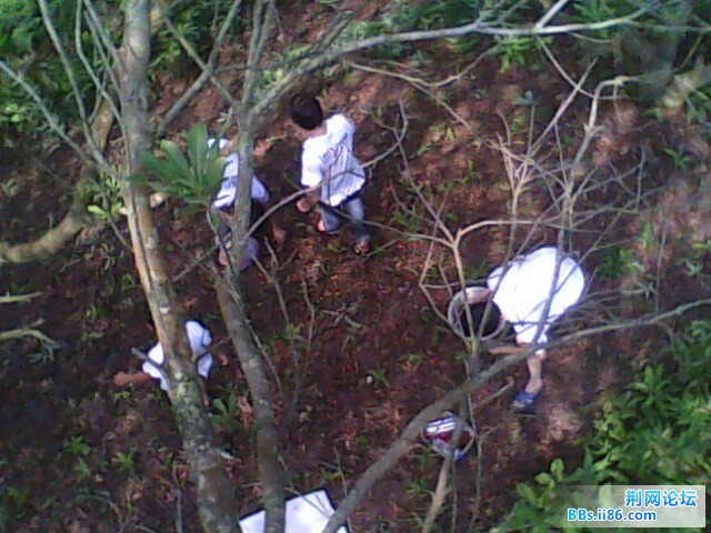IMG0545A.jpg
