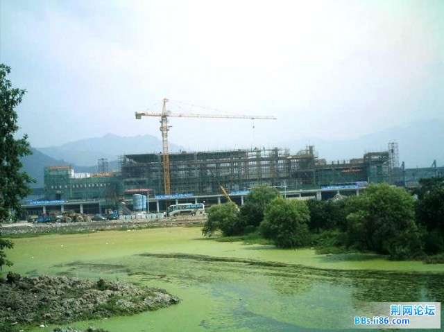 IMAG0005.JPG