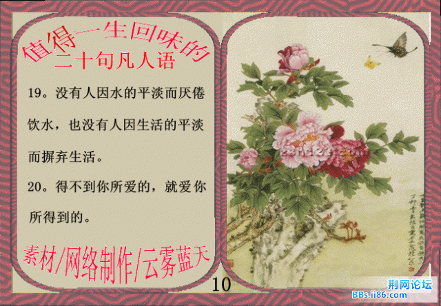 10.gif
