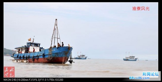 休渔期的渔船用来开发旅游,1000元出海一次.