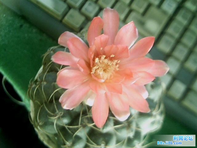 图片 054.jpg