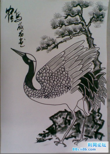 未命名.jpg