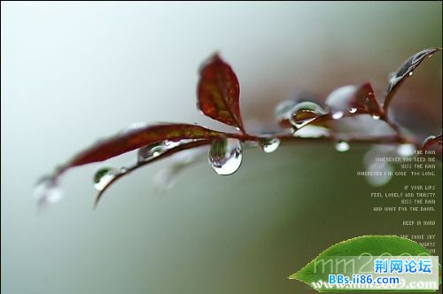 雨的印记.jpg