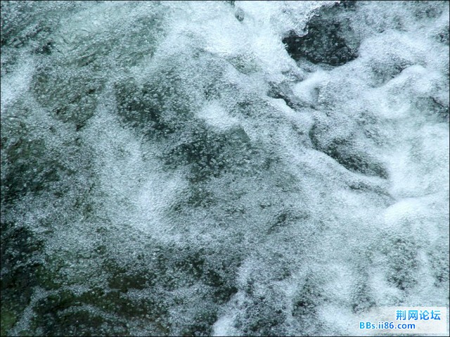 DSCF5345.JPG