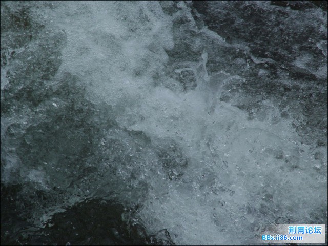 DSCF5356.JPG