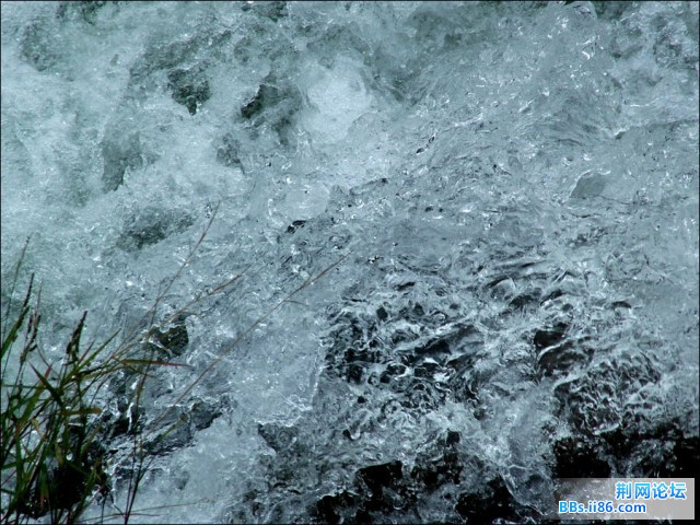 DSCF5357.JPG