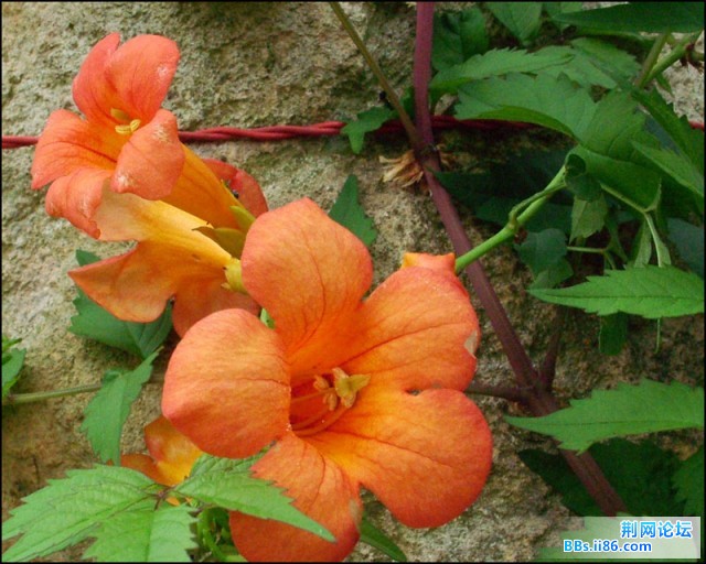 DSCF5770.JPG