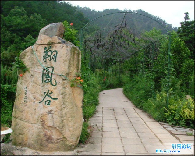 DSCF5769.JPG