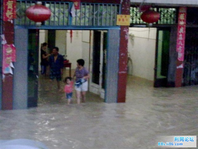 20090809831 (中等).jpg