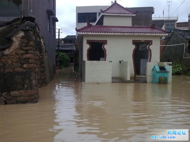 20090809826 (中等).jpg