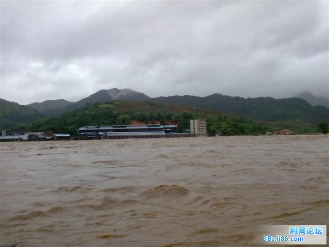20090809825 (中等).jpg