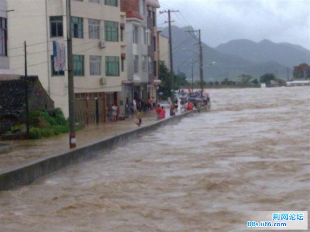 20090809829 (中等).jpg