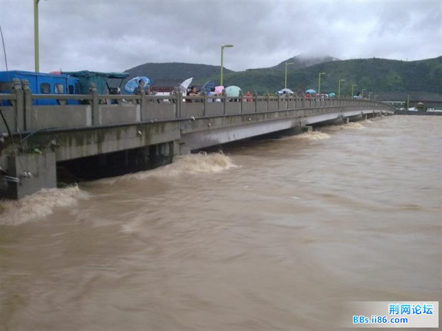 20090809827 (中等).jpg