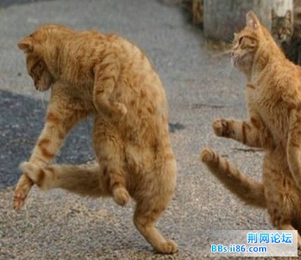 图5.jpg