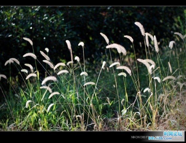 nEO_IMG_DSC_5646.jpg