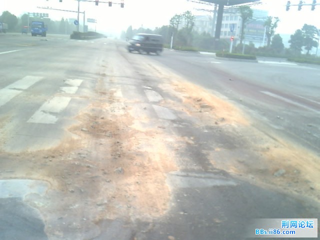 IMG0166A.jpg