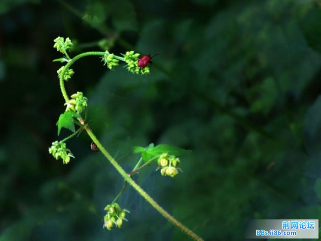 DSCF0849.JPG