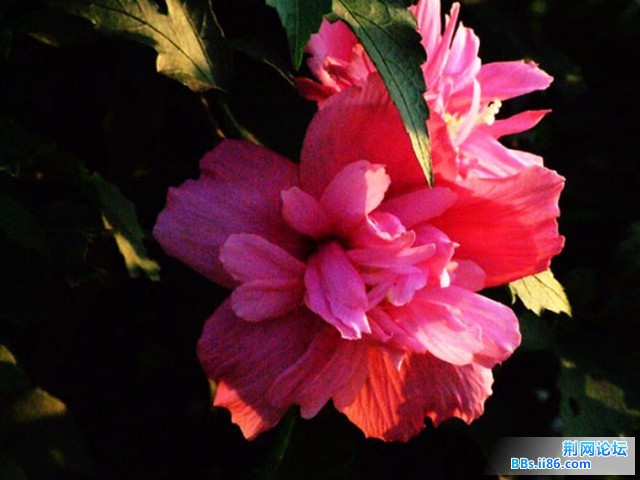 DSCF0765.JPG