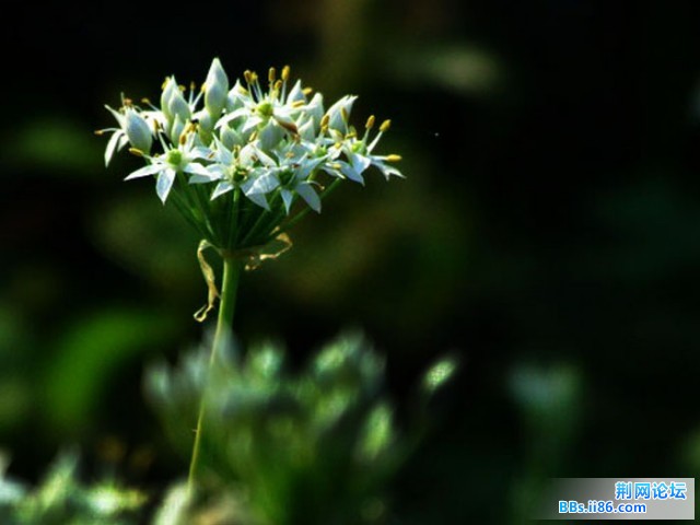 DSCF0791.JPG