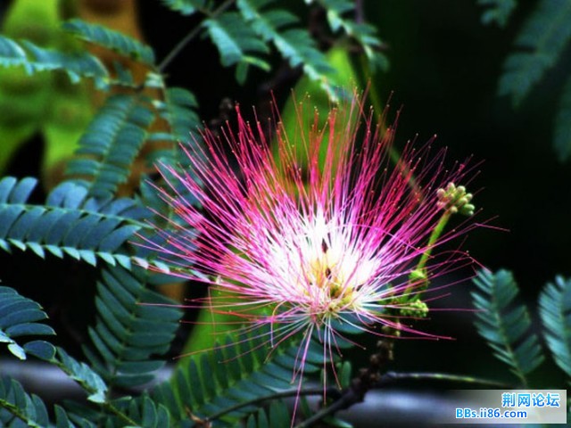 DSCF0779.JPG