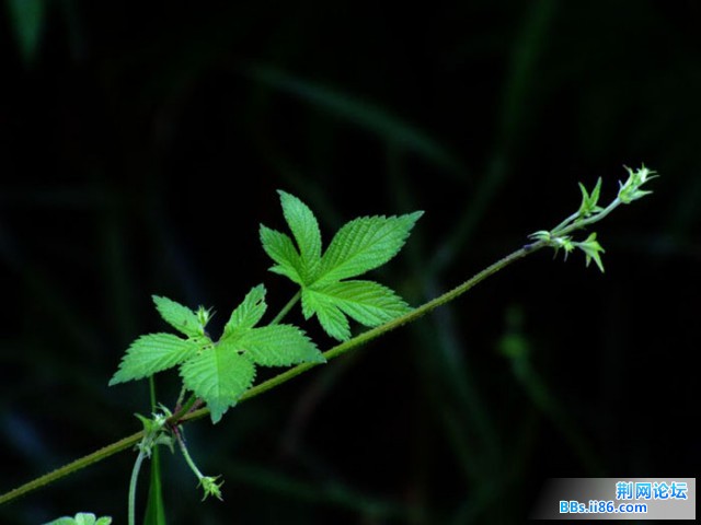 DSCF0845.JPG