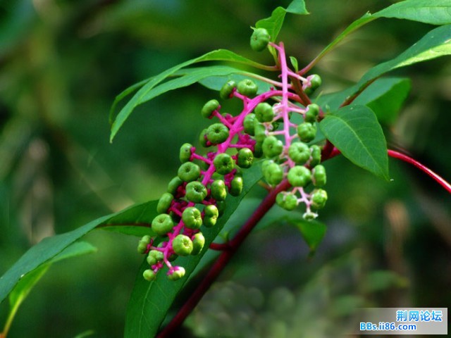 DSCF0819.JPG