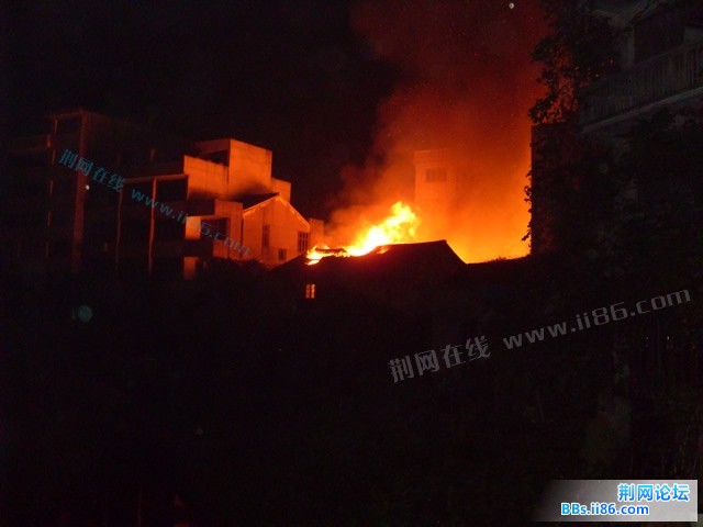 SDC14229.JPG