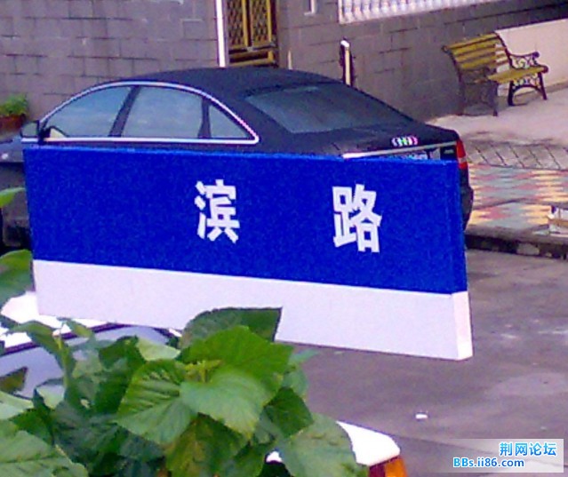 20090918986.jpg