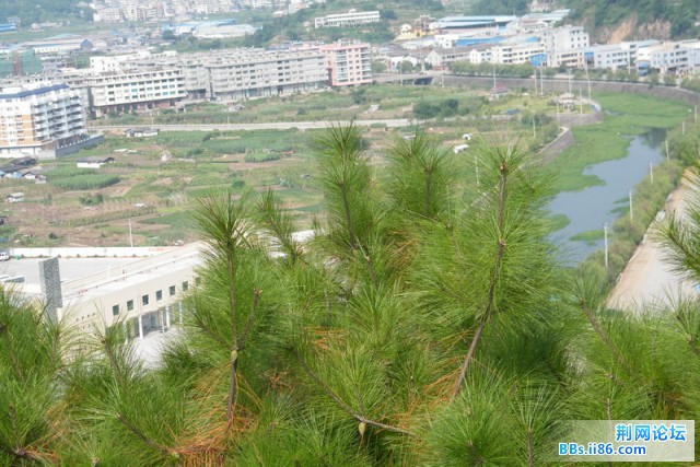 DSCF0214组照片08.JPG