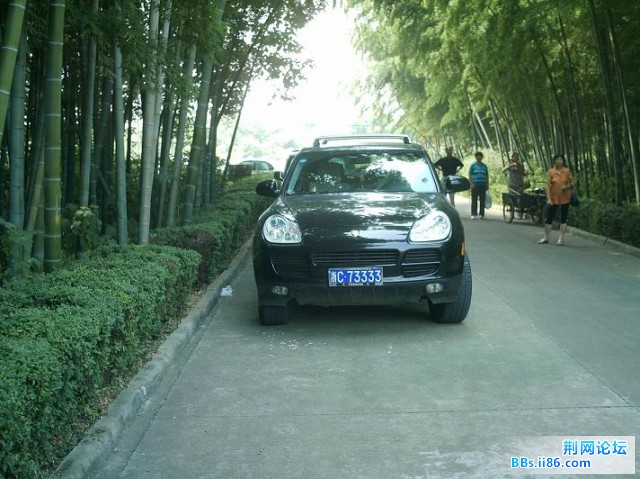 99d5eced2635a2c3b31cb1db.jpg