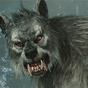 4566565.gif